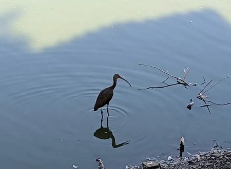 Reflection Lake RV Park