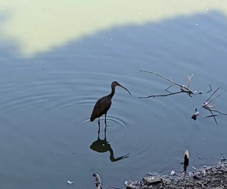 Reflection Lake RV Park