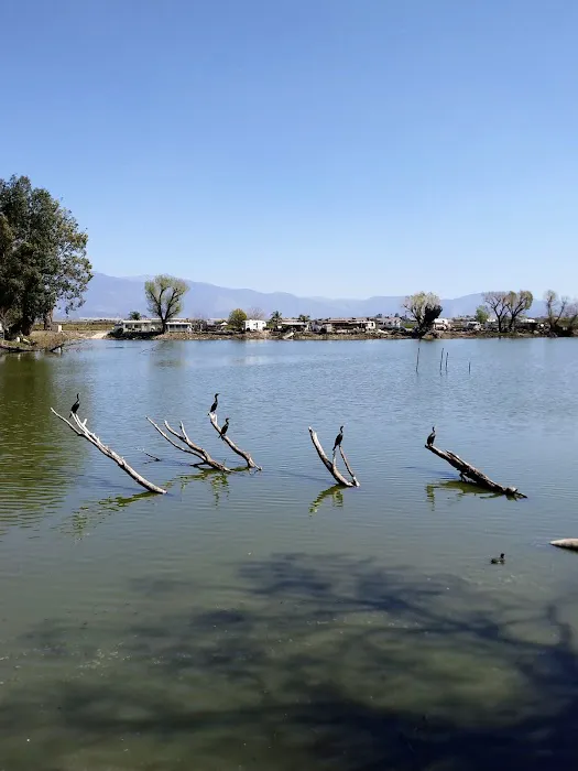 Reflection Lake RV Park Picture 7