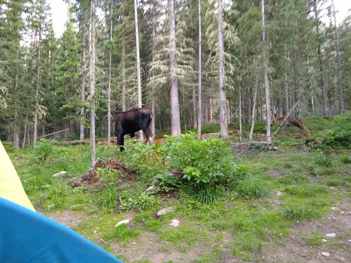The Crags Campground Picture 1