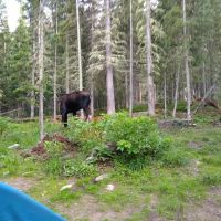 The Crags Campground ico
