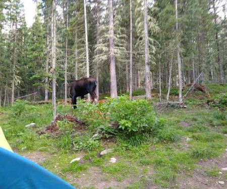 The Crags Campground
