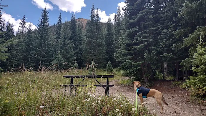 The Crags Campground Picture 5