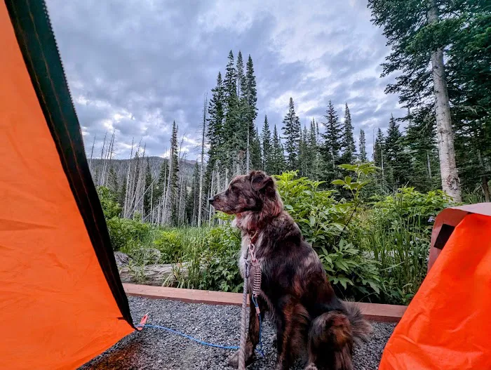 The Crags Campground Picture 3