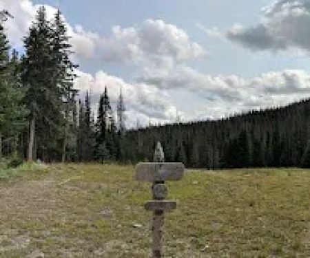 Ditch Camp