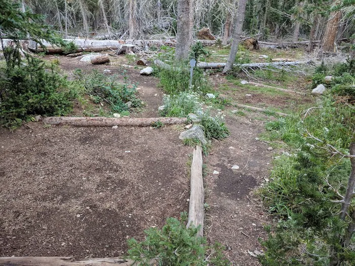 Ditch Camp Picture 2