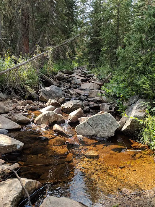 Ditch Camp Picture 3
