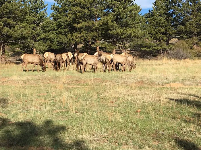 Estes Park Campground at Mary's Lake Picture 10