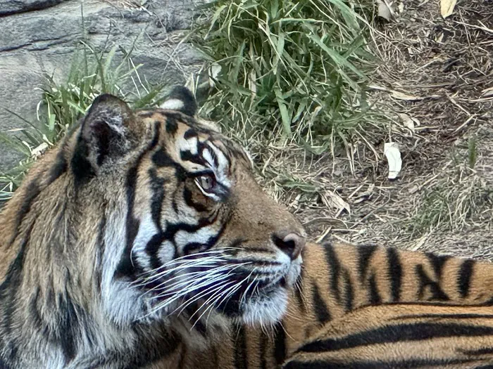 Safari Park Picture 9