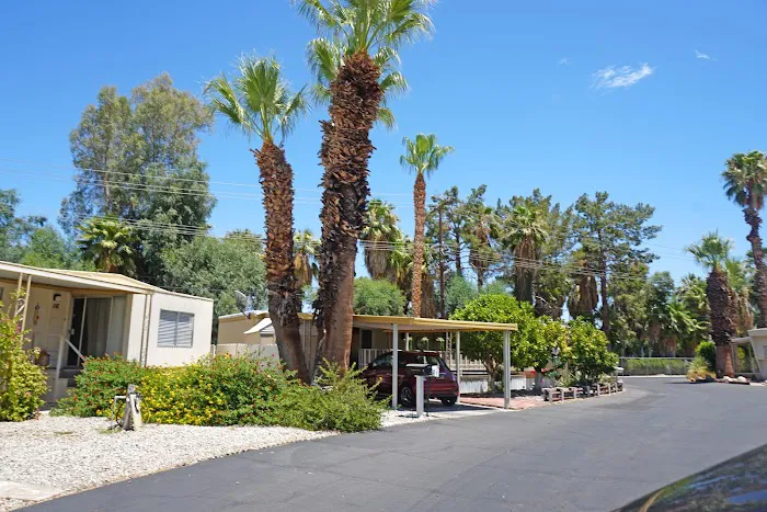 Tramview Picture 10