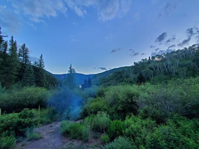 Little Mattie Campground Picture 2