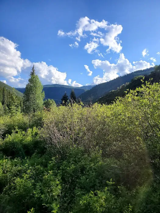 Little Mattie Campground Picture 4