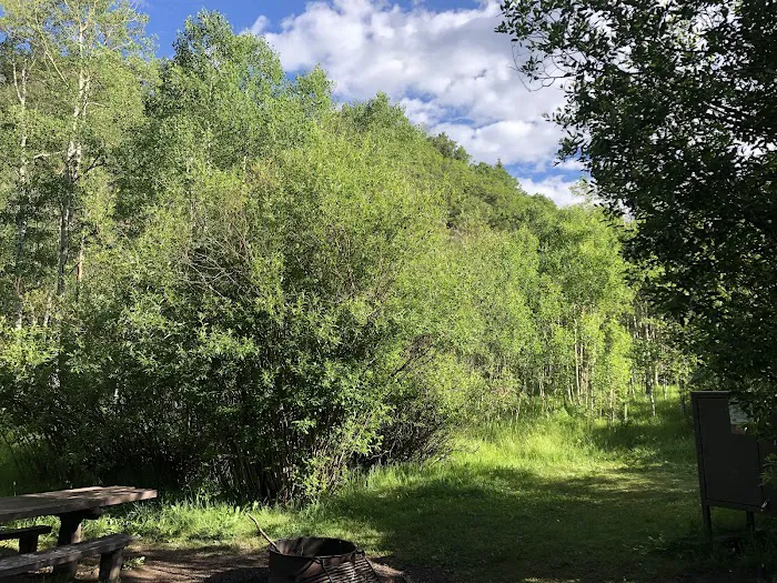 Little Mattie Campground Picture 5