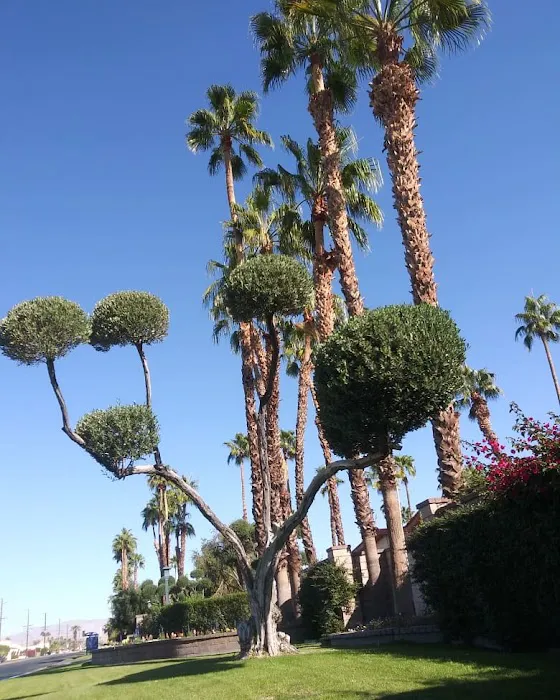 Canyon Mobile Home Community Picture 6