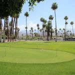 Royal Palms