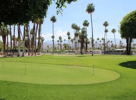 Royal Palms