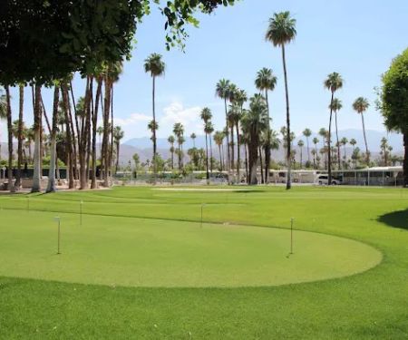 Royal Palms