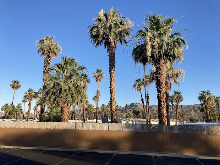 Royal Palms Picture 10
