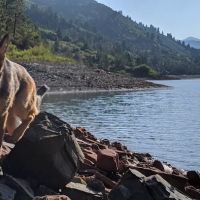 Little Maud Campground ico