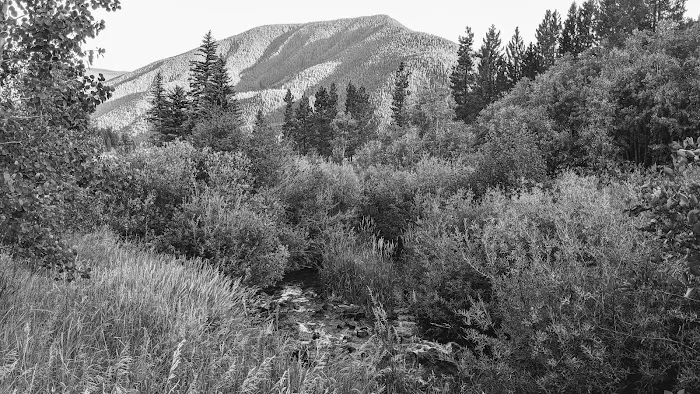 Little Maud Campground Picture 9