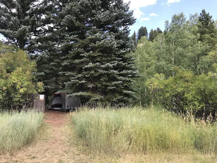 Little Maud Campground Picture 8