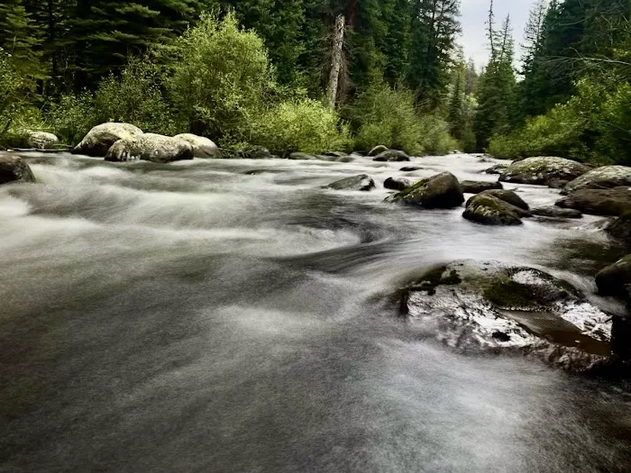Chapman Campground Picture 3