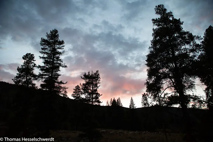 Chapman Campground Picture 2