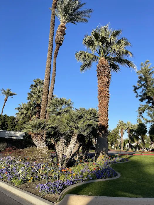 Outdoor Resort Palm Springs Picture 5