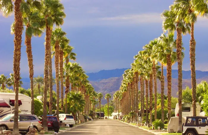 Outdoor Resort Palm Springs Picture 2