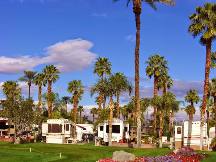 Outdoor Resort Palm Springs Picture 9