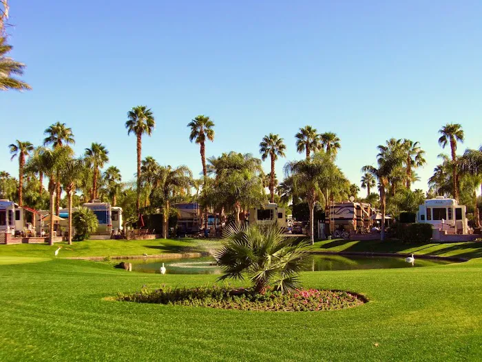Outdoor Resort Palm Springs Picture 10
