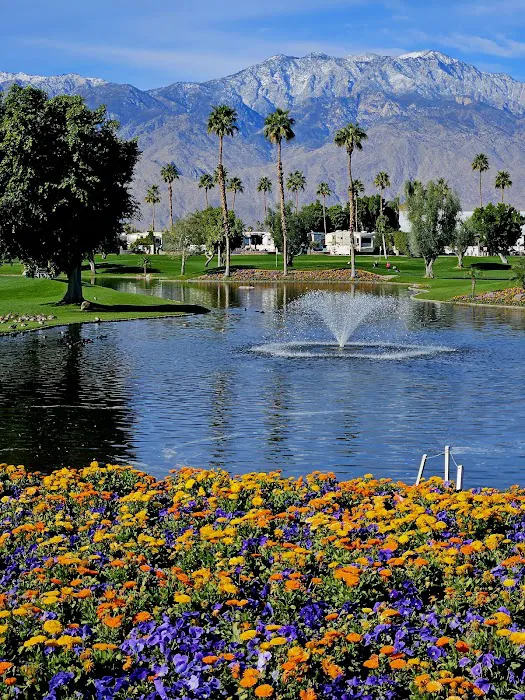 Outdoor Resort Palm Springs Picture 8