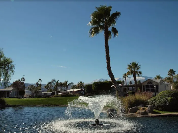 Desert Shadows RV Resort Picture 8