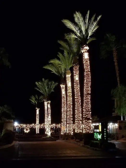 Desert Shadows RV Resort Picture 5