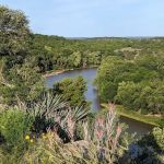 Barefoot Camp and R.V. Park
