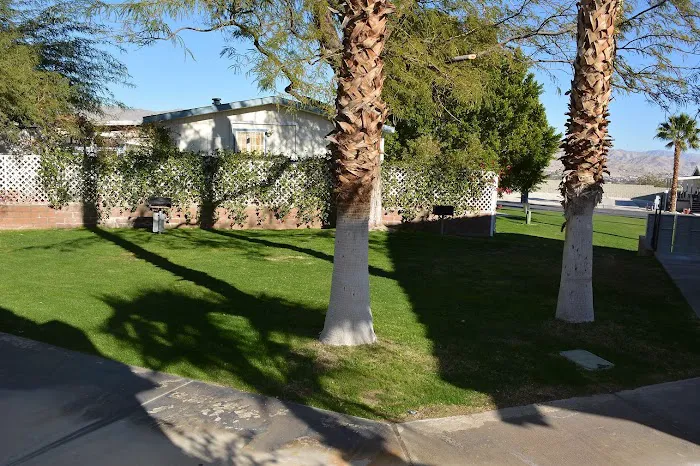 Palm View Estates Picture 6