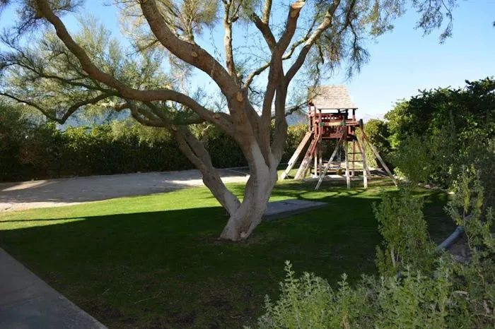 Palm View Estates Picture 9