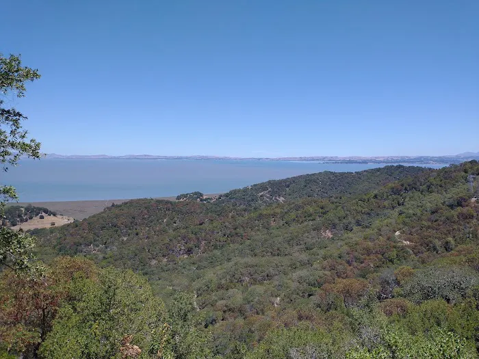 Back Ranch Meadows Campground Picture 6