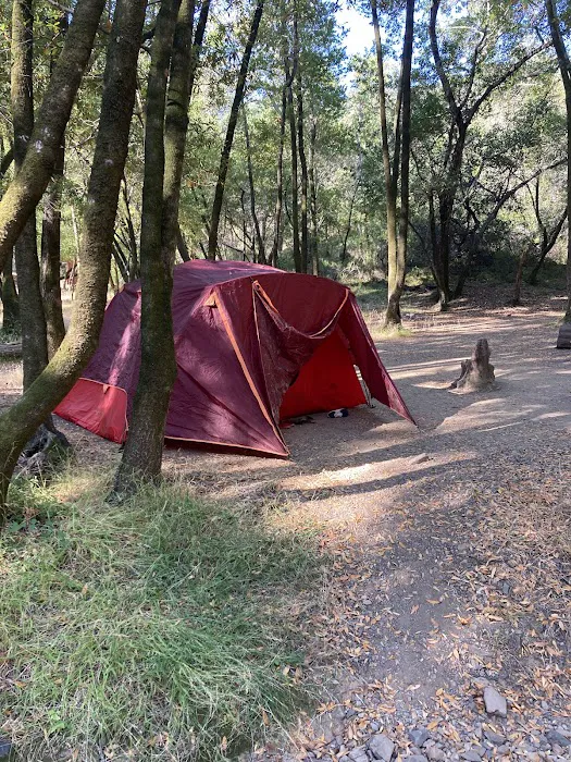 China Camp Campsite Picture 10