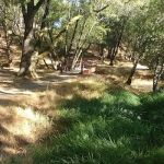 China Camp Campsite