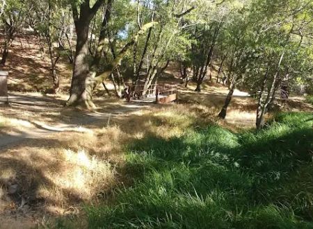 China Camp Campsite