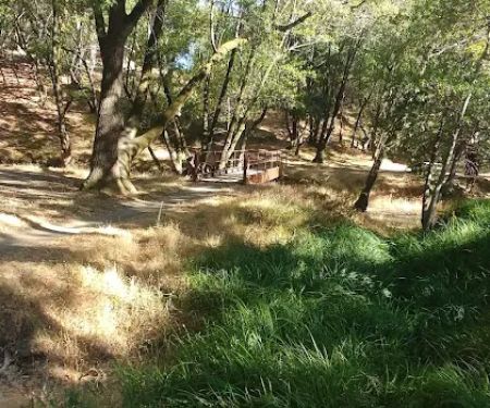 China Camp Campsite