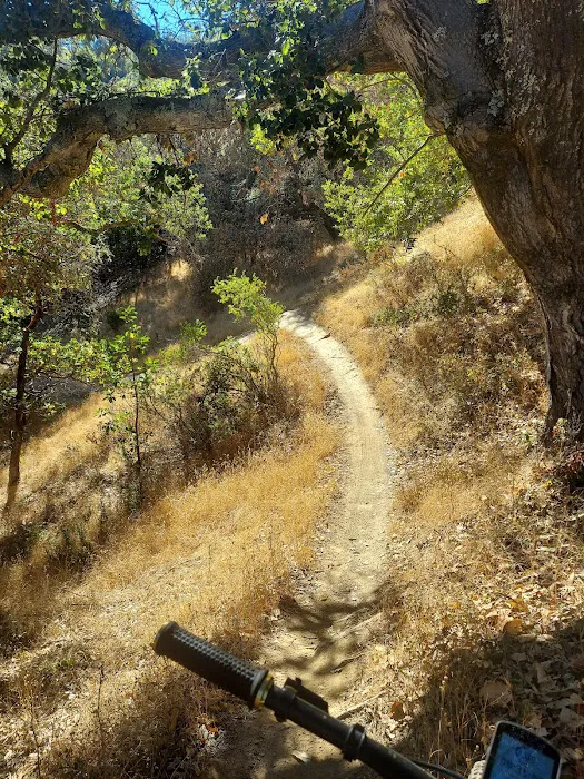 China Camp Campsite Picture 9