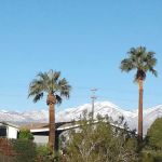 Sky Haven Homeowners Inc