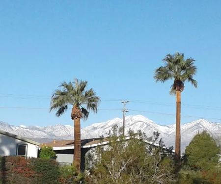 Sky Haven Homeowners Inc