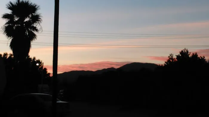 Palm Drive RV & Mobile Home Park Picture 6