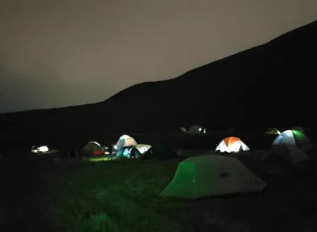 Maud Whalen Group Campsite