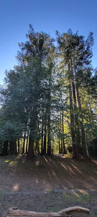 Oakland Pal Camp Picture 1