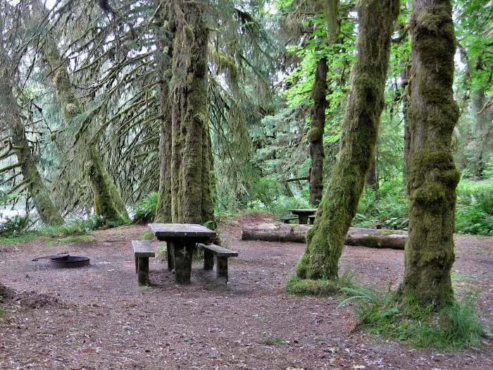 Queets Campground Picture 10
