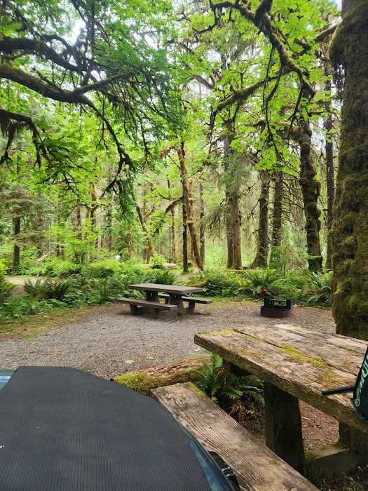 Queets Campground Picture 3